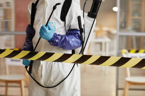 Professional Sewage Cleanup technician working in Cockeysville, MD